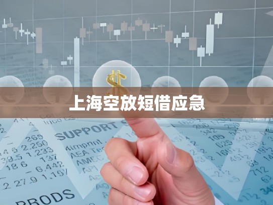 上海空放短借应急