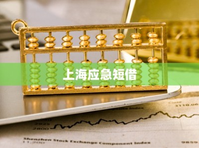 上海应急短借
