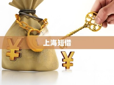 上海短借